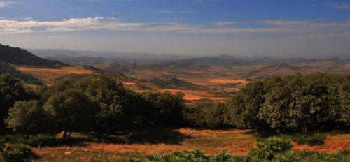1CAMINO A OUM RABIAA CON EL ATLAS AL FONDO