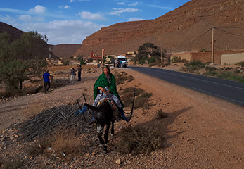 MUJER EN BURRO EN PALMERAL DE SKOURA